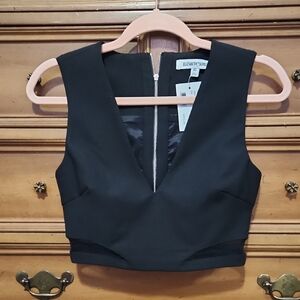 Elizabeth and James Black V-Neck Crop Top